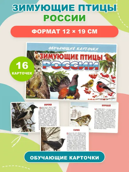 ЛитУр Обучающие карточки "Зимующие птицы России"