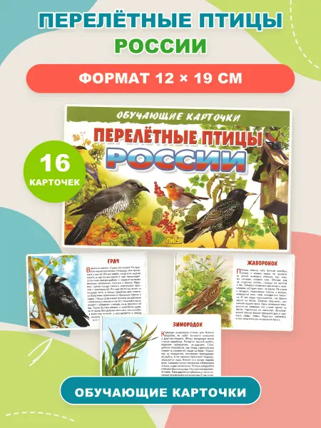 ЛитУр Обучающие карточки Перелетные птицы России. В