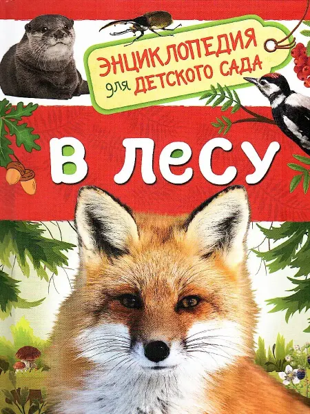 РОСМЭН В лесу. Энциклопедия для детского сада