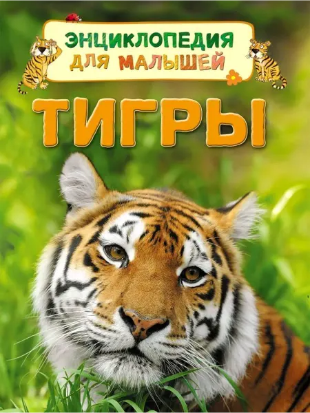 РОСМЭН Тигры. Энциклопедия для малышей