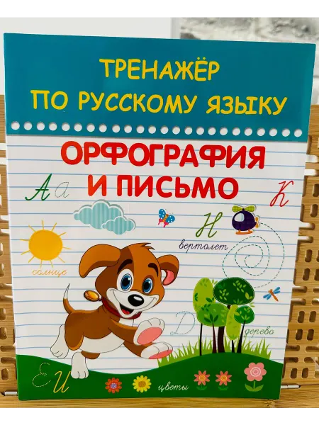 Тренажёр по русскому языку. Орфография и письмо