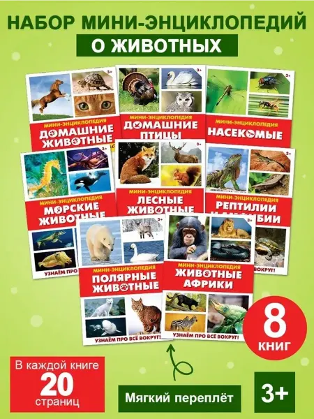 Образовательный набор для юных натуралистов