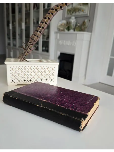 Антикварная книга 1908 год Г. ГАУПТМАН