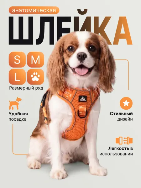 Шлейка для собак средних пород анатомическая