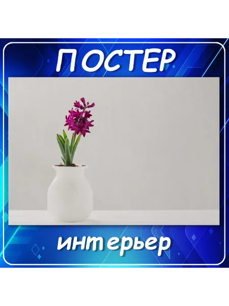 Постер на стену Гиацинт цветы горшок белый 30х40 см