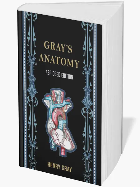 Medina Univ Pr Intl Gray's Anatomy (Анатомия Грей)