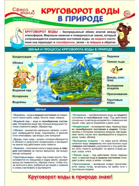 Издательство Сфера Плакат А3 Круговорот воды в природе