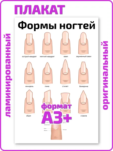 Квинг Формы ногтей для маникюра плакат А3 ламинированный