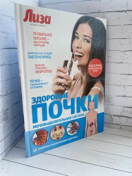Здоровые почки. Мочевыделительная система