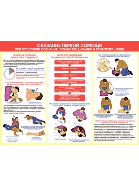 ЦентрМаг Плакат Оказание первой помощи при отсутствии сознания, остан