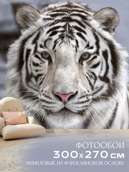Декор Акцент Фотообои Белый тигр 300х270