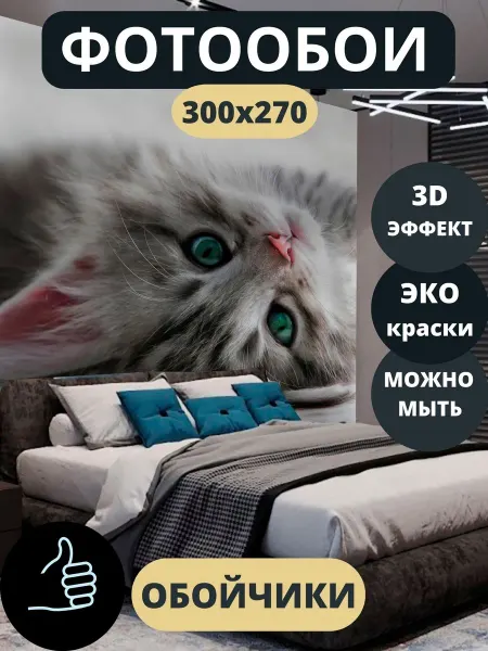 Обойчики Фотообои Животные Кот в прихожую спальню детскую 300х270