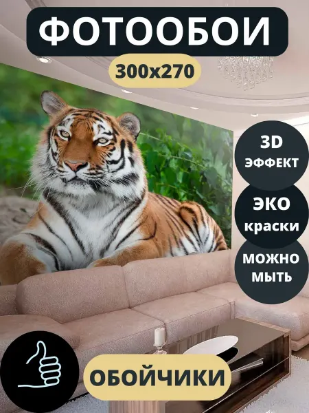 Обойчики Фотообои Животные Тигр в прихожую спальню детскую 300х270
