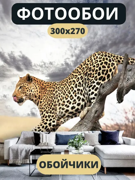 Обойчики Фотообои Леопард в прихожую спальню детскую 300х270