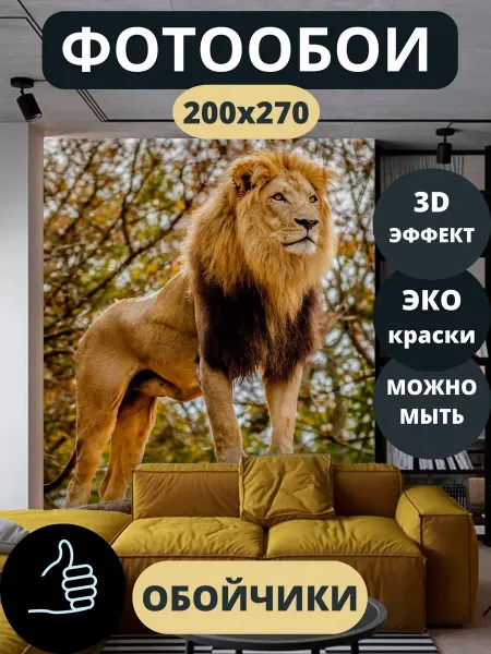 Обойчики Фотообои Животные Лев в прихожую спальню кухню 200х270
