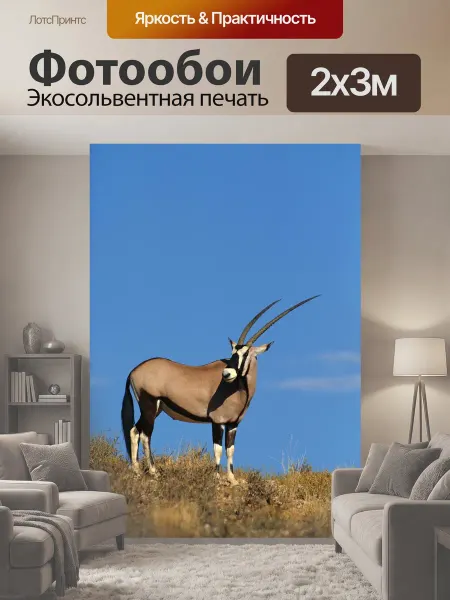 LotsPrints Фотообои "Антилопа, животные, африка" 2x3м