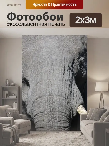 LotsPrints Фотообои "Слон, африка, африканский слон" 2x3м