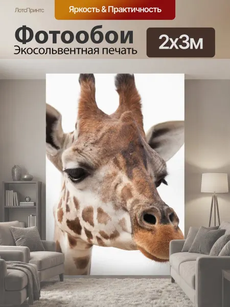 LotsPrints Фотообои "Жирафа, африке, сафари" 2x3м