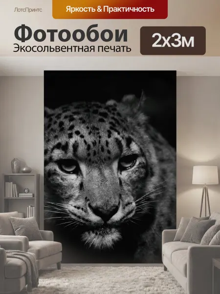 LotsPrints Фотообои "Снежный барс, кот, леопард" 2x3м