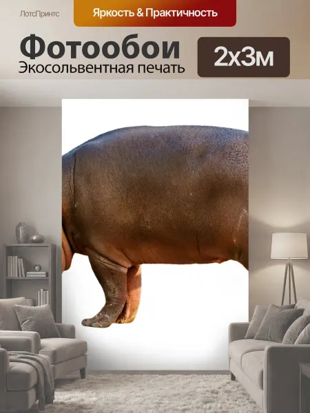 LotsPrints Фотообои "Бегемот, млекопитающее, зоопарк" 2x3м