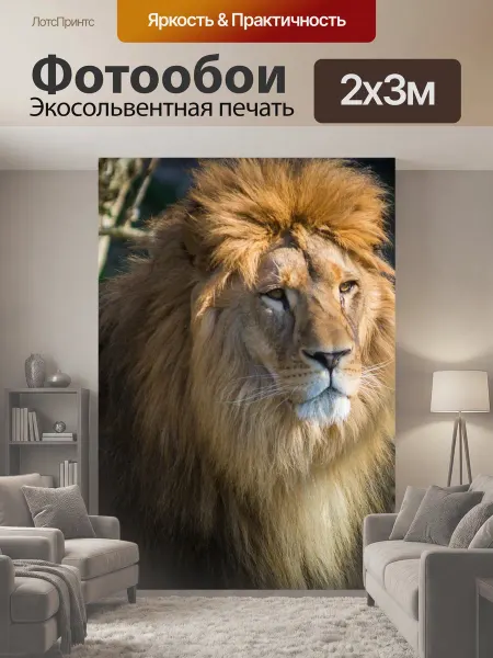 LotsPrints Фотообои "Лев, большой кот, зоопарк" 2x3м