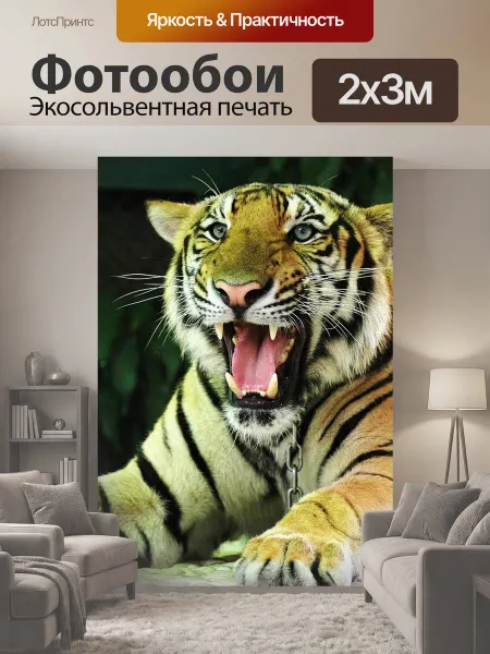 LotsPrints Фотообои "Тигр, большой кот, таиланд" 2x3м