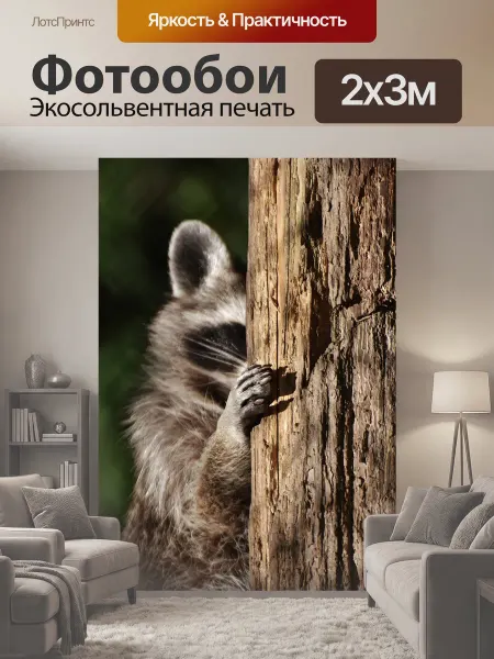 LotsPrints Фотообои "Енот, спрятать, веселье" 2x3м