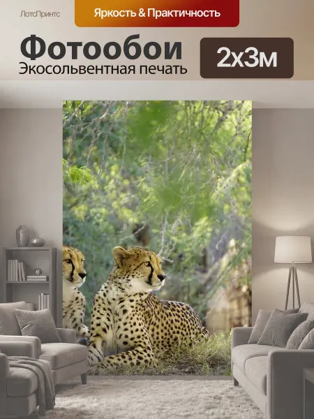 LotsPrints Фотообои "Гепард, природа, дикая природа" 2x3м