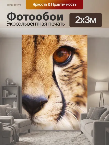 LotsPrints Фотообои "Гепард, хищник, животное" 2x3м