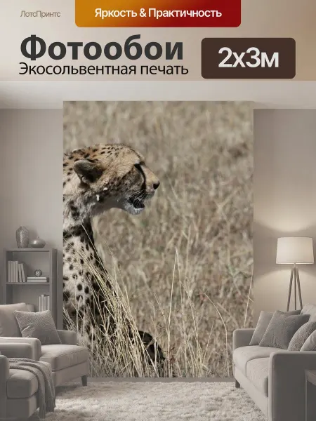 LotsPrints Фотообои "Гепард, кошка, хищник" 2x3м