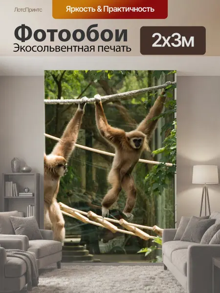 LotsPrints Фотообои "Гиббон, обезьяна, белый" 2x3м