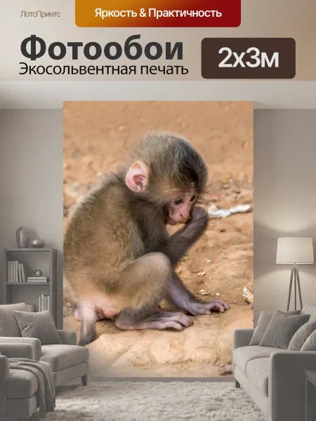LotsPrints Фотообои "Обезьяна, детка, животное" 2x3м