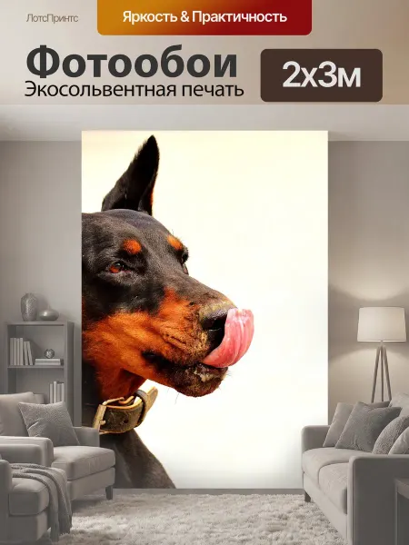 LotsPrints Фотообои "Доберман, собака, дикая природа" 2x3м