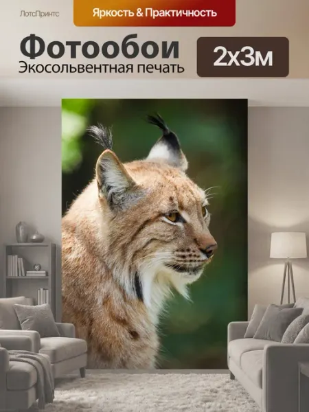 LotsPrints Фотообои "Рысь, животное, дикая природа" 2x3м