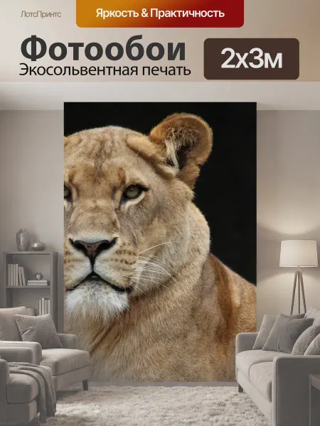 LotsPrints Фотообои "Лев, львица, дикая кошка" 2x3м
