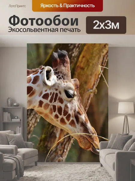 LotsPrints Фотообои "Жирафа, зоопарк, животное" 2x3м