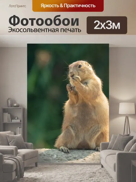 LotsPrints Фотообои "Сурок стоя Сурок в зоопарке животное." 2x3м