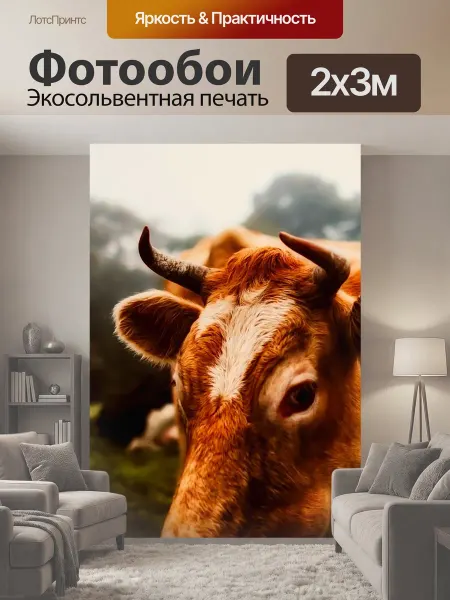 LotsPrints Фотообои "Корова, крупный рогатый скот, животное" 2x3м