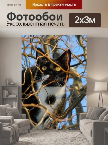 LotsPrints Фотообои "Кот, скрытый, животное" 2x3м