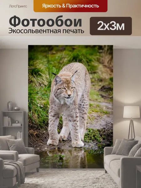 LotsPrints Фотообои "Животное, рысь, кошачий" 2x3м