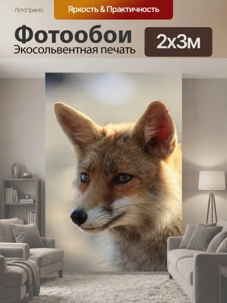 LotsPrints Фотообои "Лиса, животное, тоскана" 2x3м