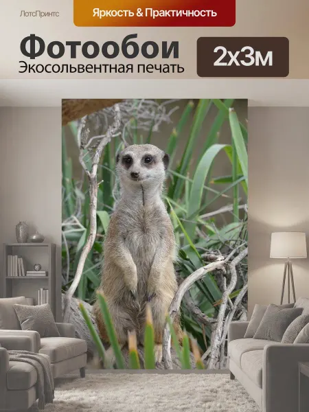 LotsPrints Фотообои "Сурикат, млекопитающее, животное" 2x3м