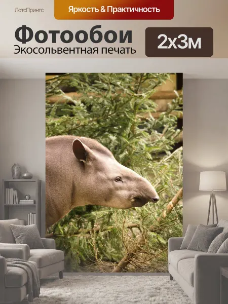 LotsPrints Фотообои "Тапир, животное, млекопитающее" 2x3м