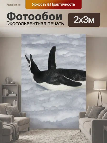 LotsPrints Фотообои "Пингвин, снег, животное" 2x3м