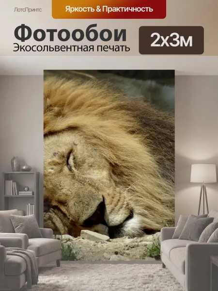 LotsPrints Фотообои "Лев, животные, зоопарк" 2x3м