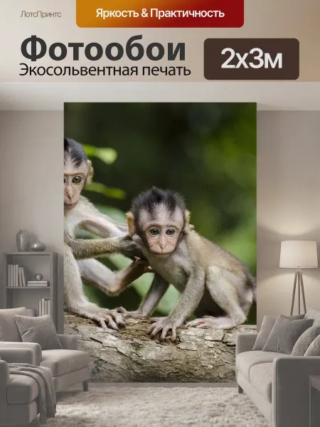 LotsPrints Фотообои "Обезьяны, природа, животные" 2x3м