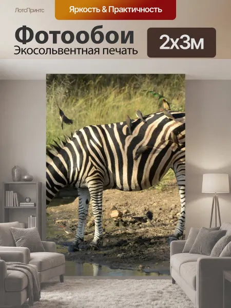LotsPrints Фотообои "Юар, зебра, крюгер" 2x3м