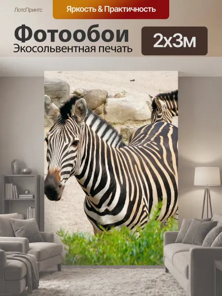 LotsPrints Фотообои "Зебра, полосатый, черно-белый" 2x3м