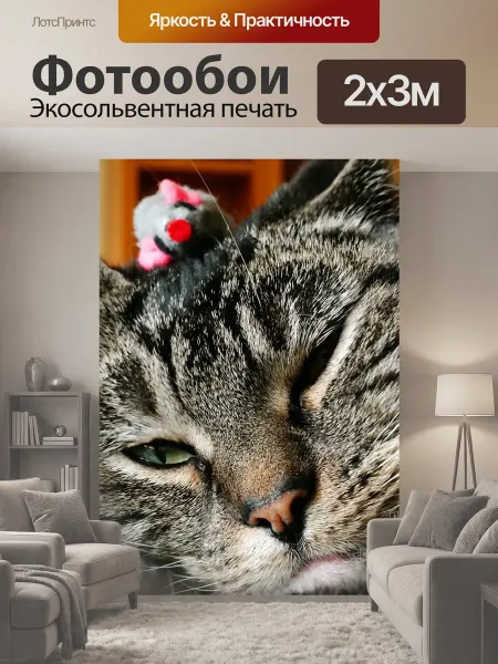 LotsPrints Фотообои "Кот, мышь, кошка игрушка" 2x3м