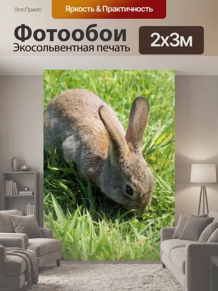LotsPrints Фотообои "Кролик, кролики, ушастый" 2x3м
